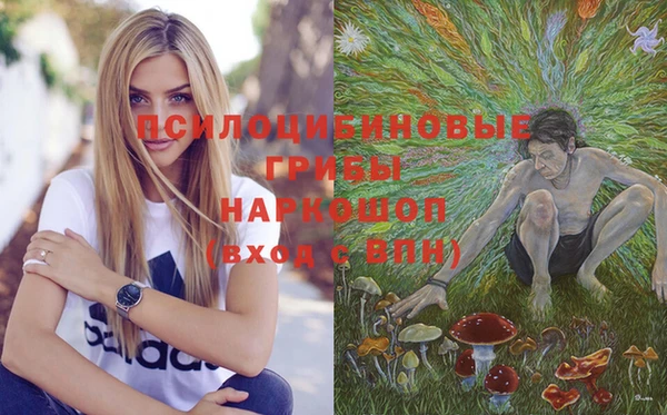 mix Абаза