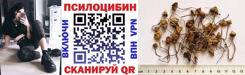 Псилоцибиновые грибы Cubensis  мега ССЫЛКА  Отрадное 