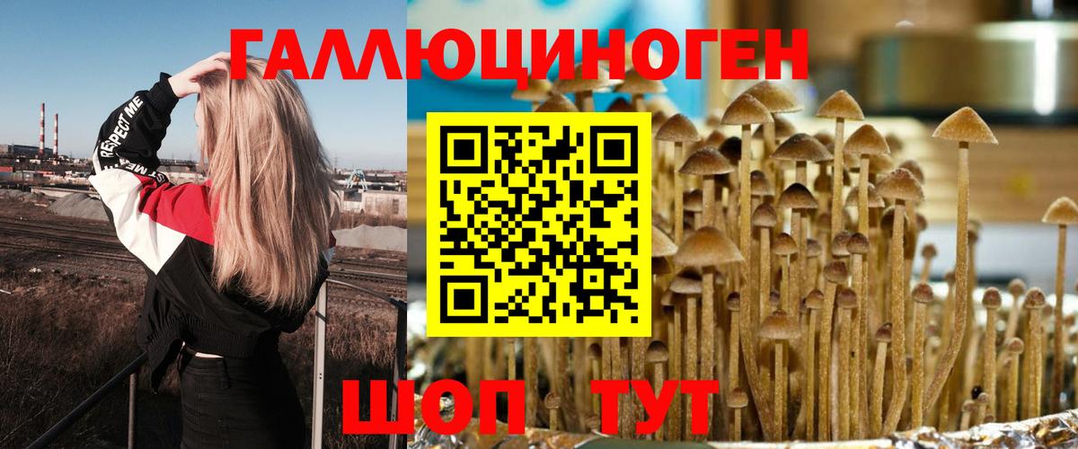 Галлюциногенные грибы мицелий Отрадное